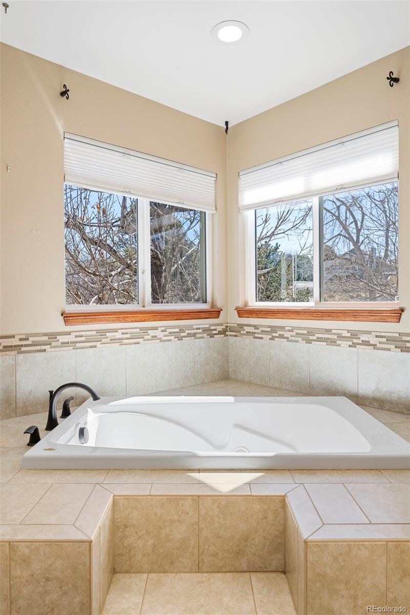 MLS Image #17 for 2203  chesapeake lane,highlands ranch, Colorado