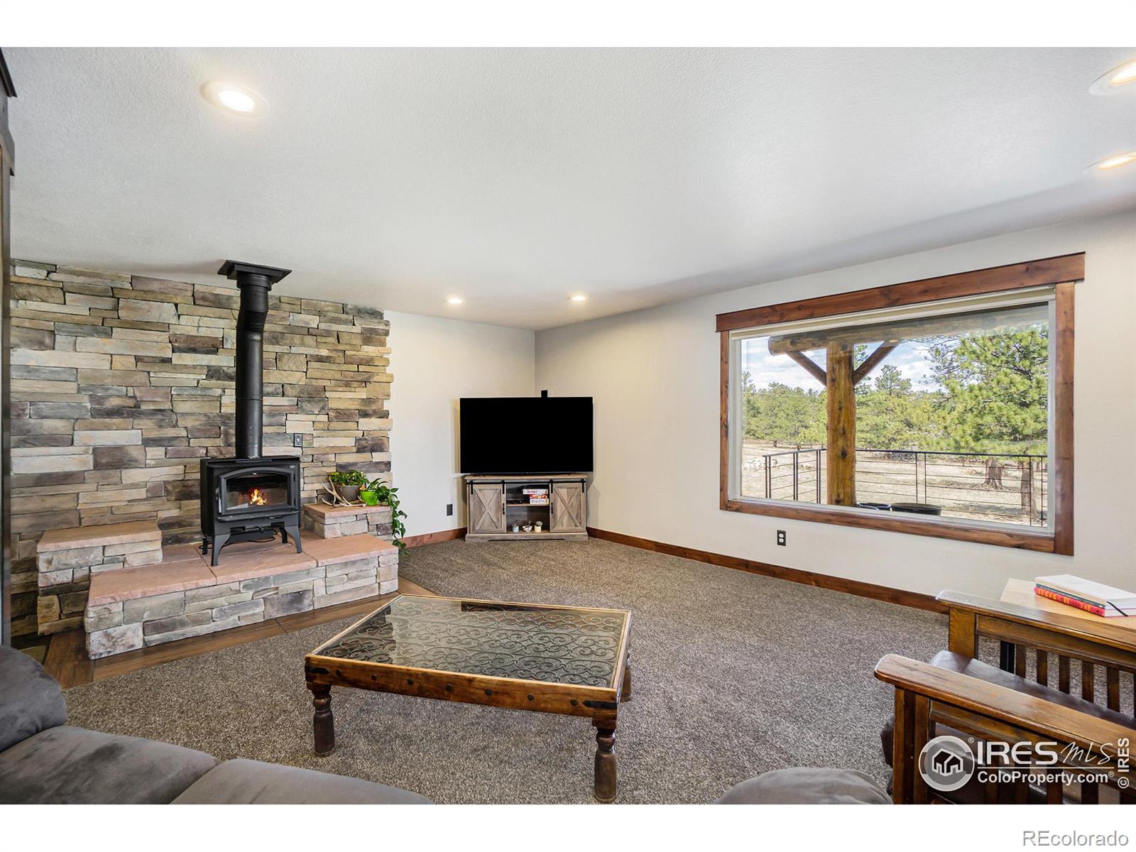 MLS Image #14 for 89  arikaree peak drive,livermore, Colorado