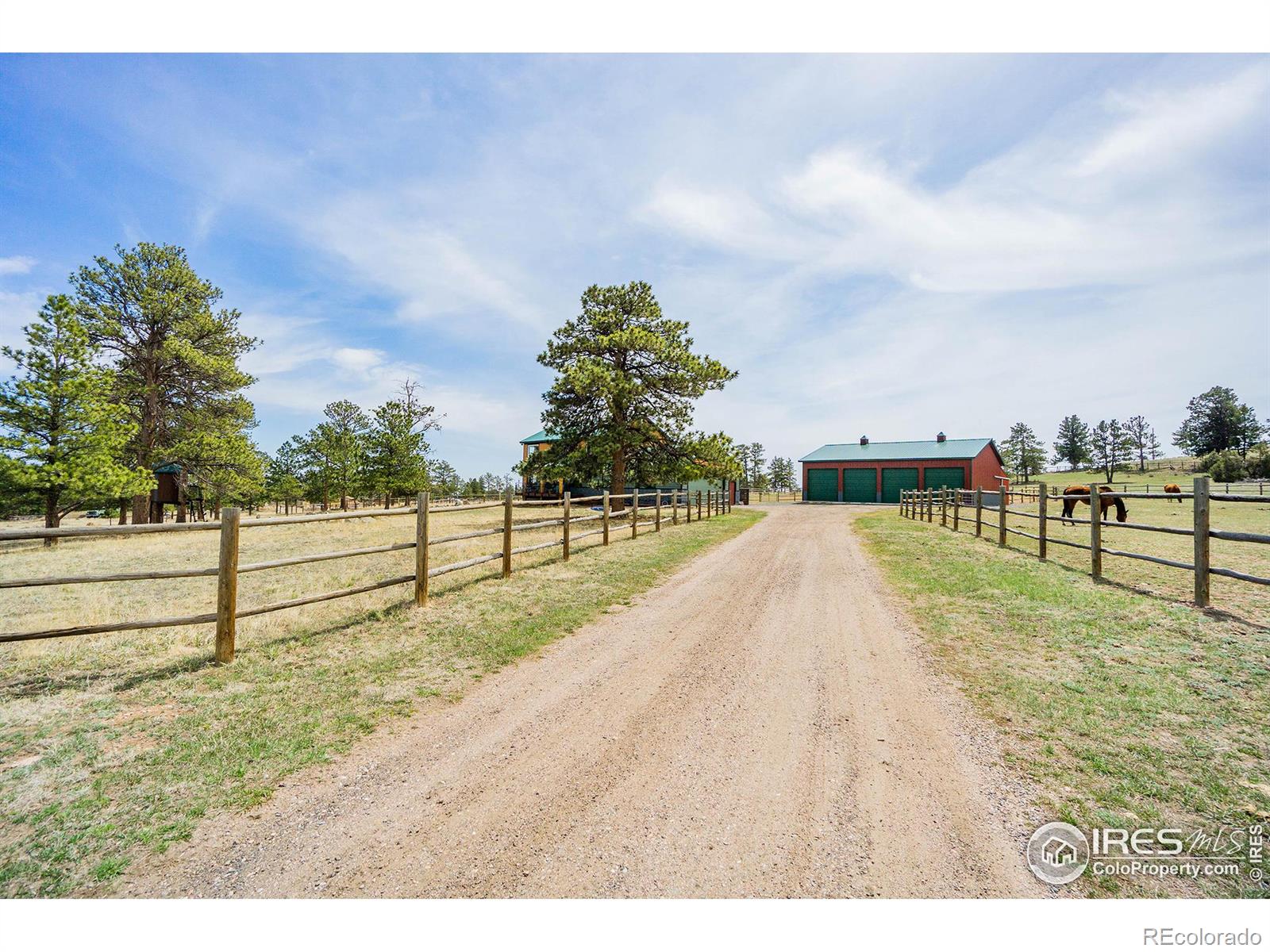 MLS Image #2 for 89  arikaree peak drive,livermore, Colorado