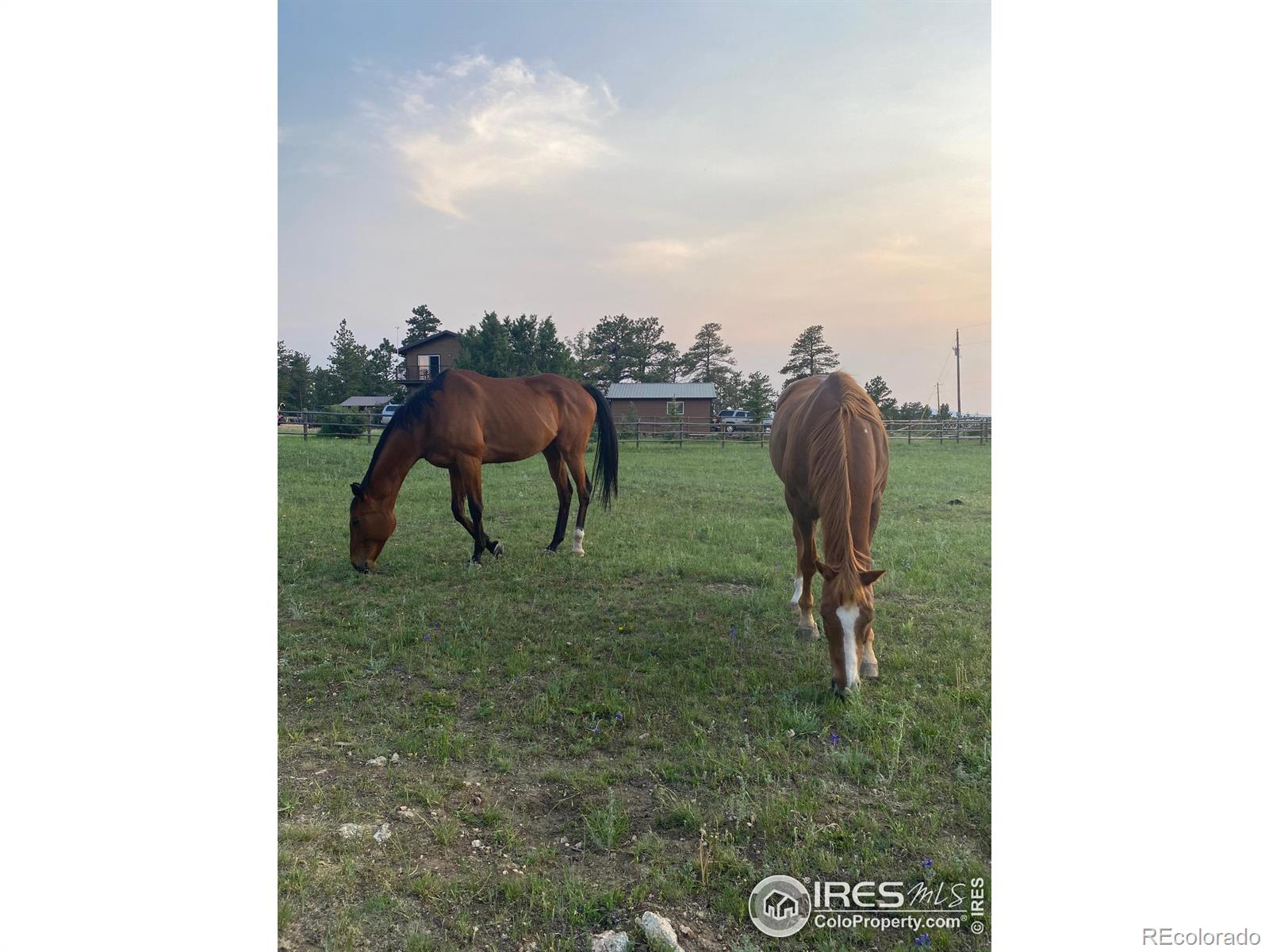 MLS Image #34 for 89  arikaree peak drive,livermore, Colorado