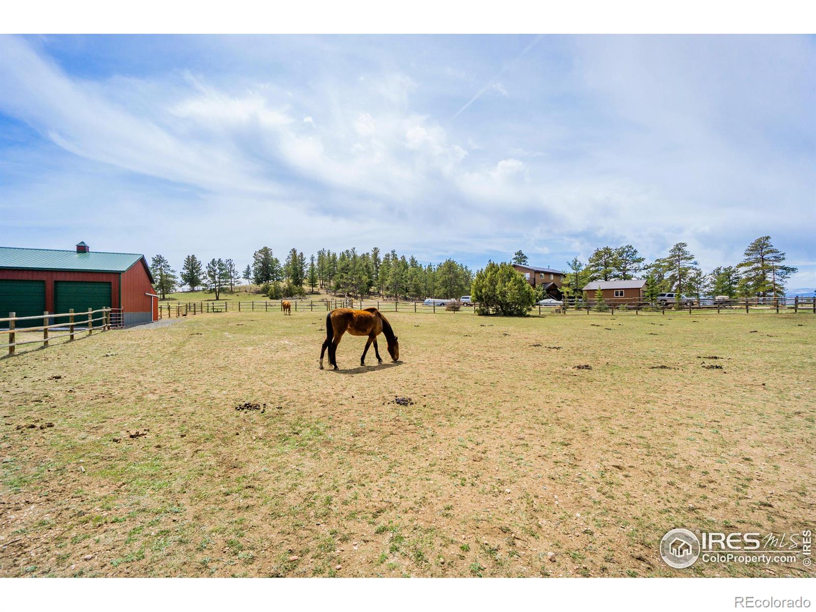MLS Image #35 for 89  arikaree peak drive,livermore, Colorado