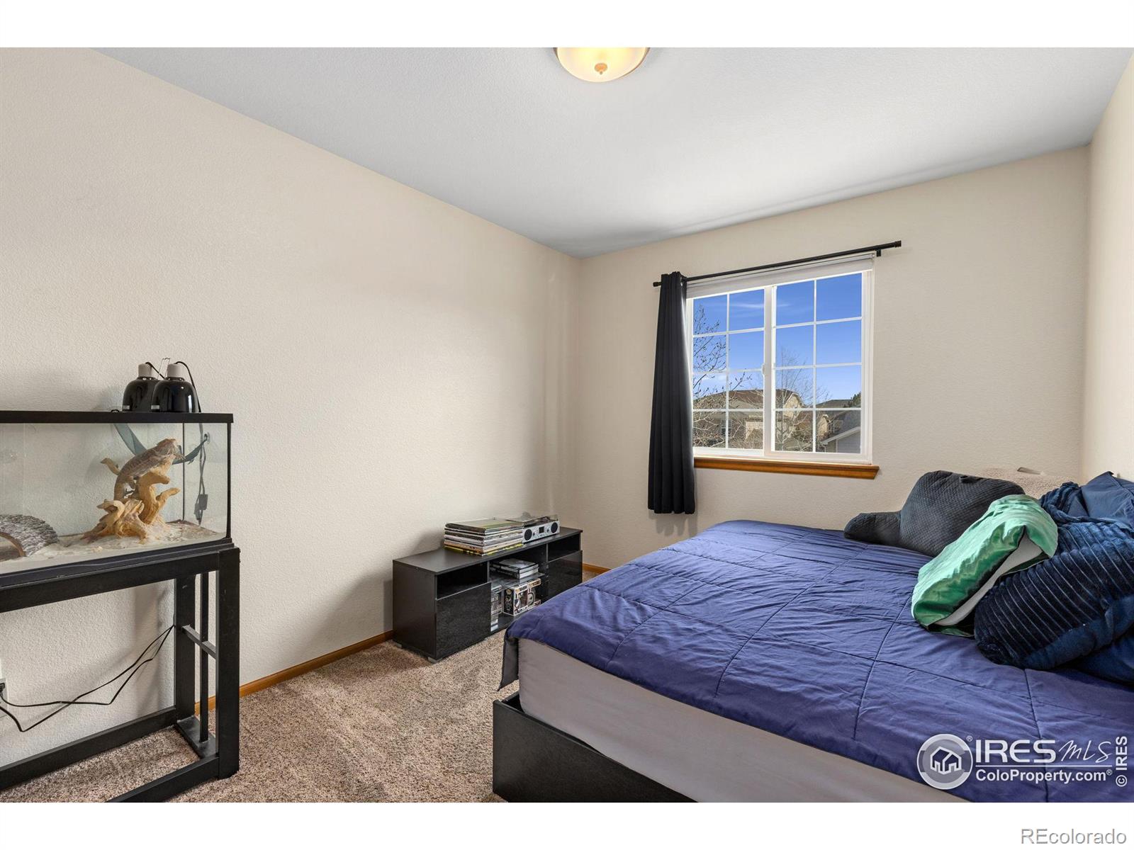 MLS Image #9 for 2236  alpine drive,erie, Colorado
