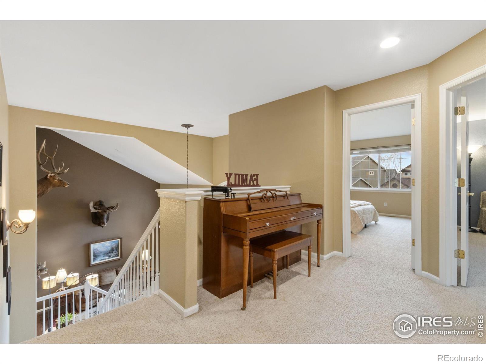 MLS Image #13 for 128  rock bridge court,windsor, Colorado