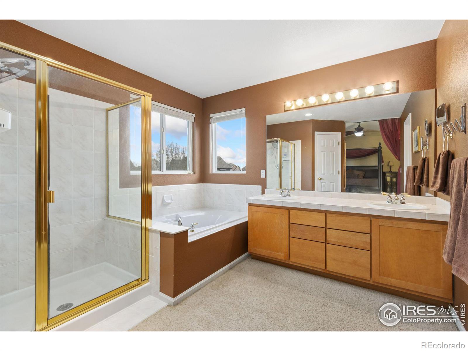 MLS Image #16 for 128  rock bridge court,windsor, Colorado