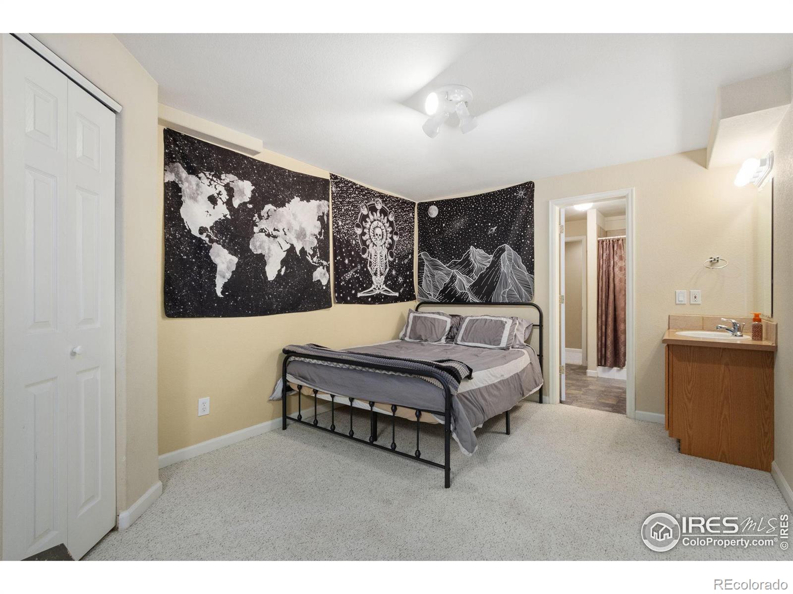 MLS Image #23 for 128  rock bridge court,windsor, Colorado