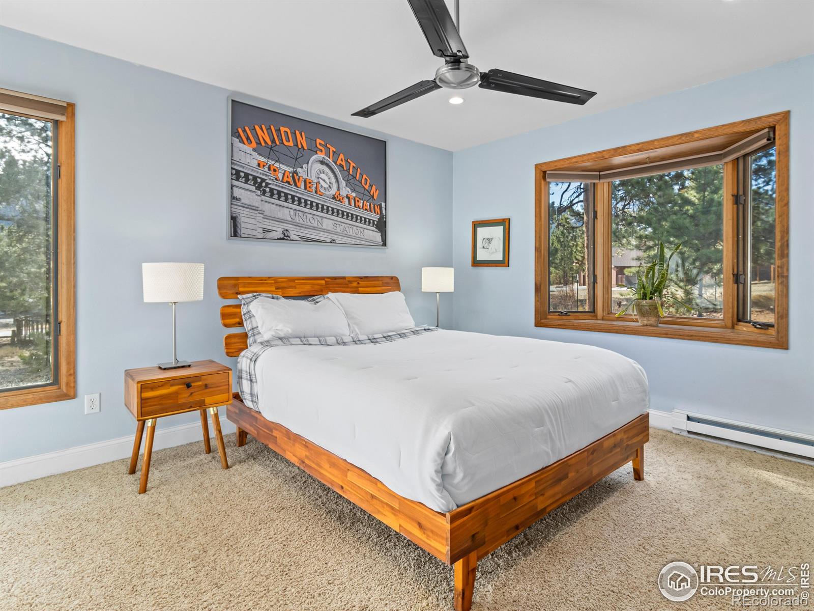 MLS Image #14 for 2251  larkspur avenue,estes park, Colorado