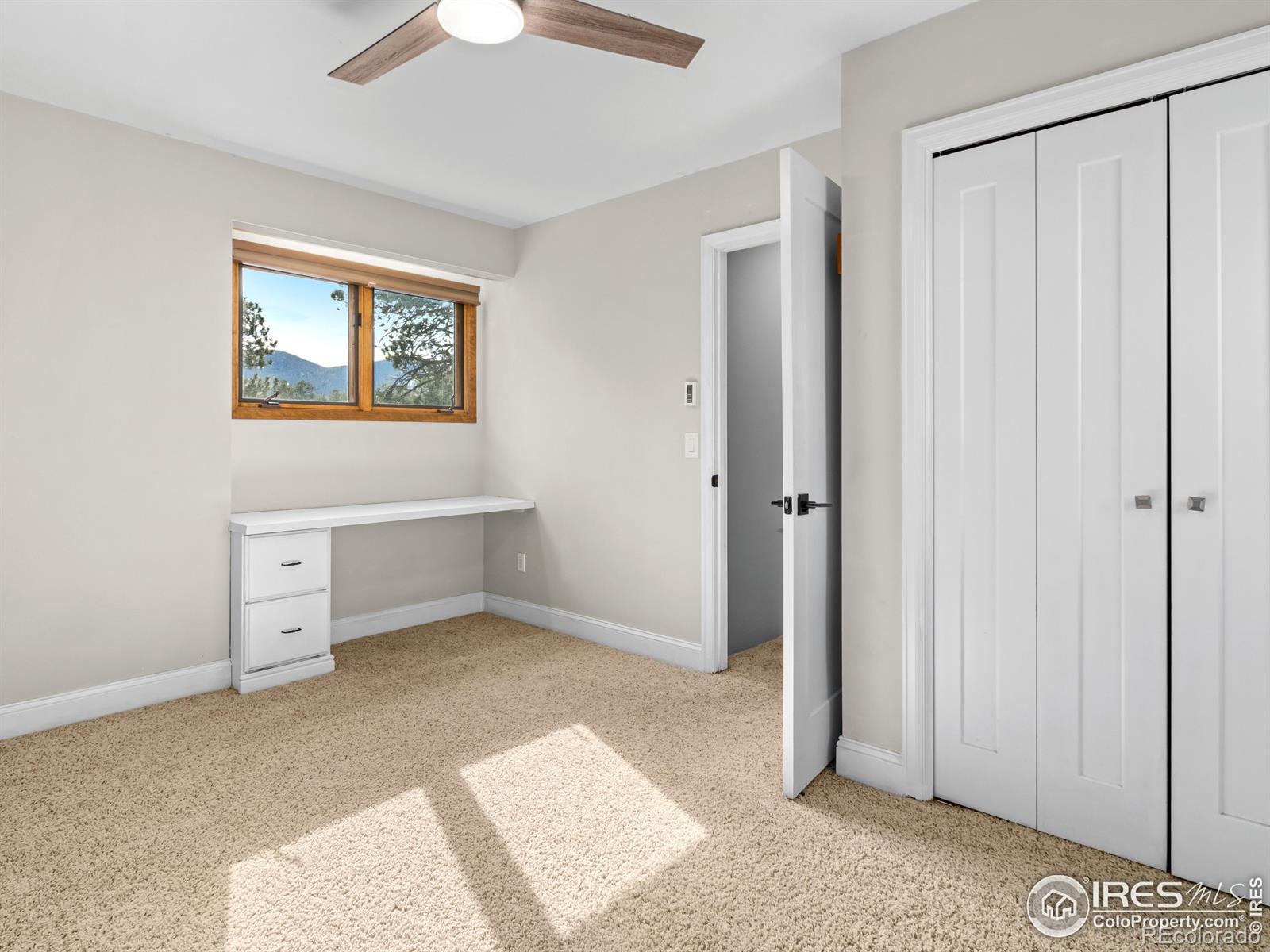 MLS Image #19 for 2251  larkspur avenue,estes park, Colorado
