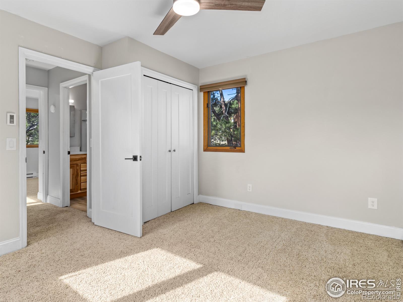 MLS Image #20 for 2251  larkspur avenue,estes park, Colorado