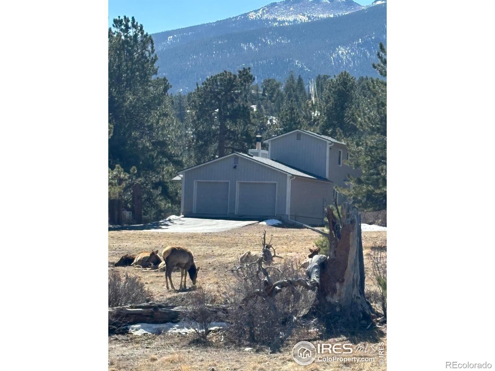 MLS Image #30 for 2251  larkspur avenue,estes park, Colorado