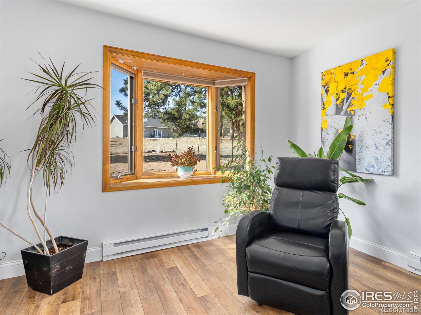MLS Image #7 for 2251  larkspur avenue,estes park, Colorado