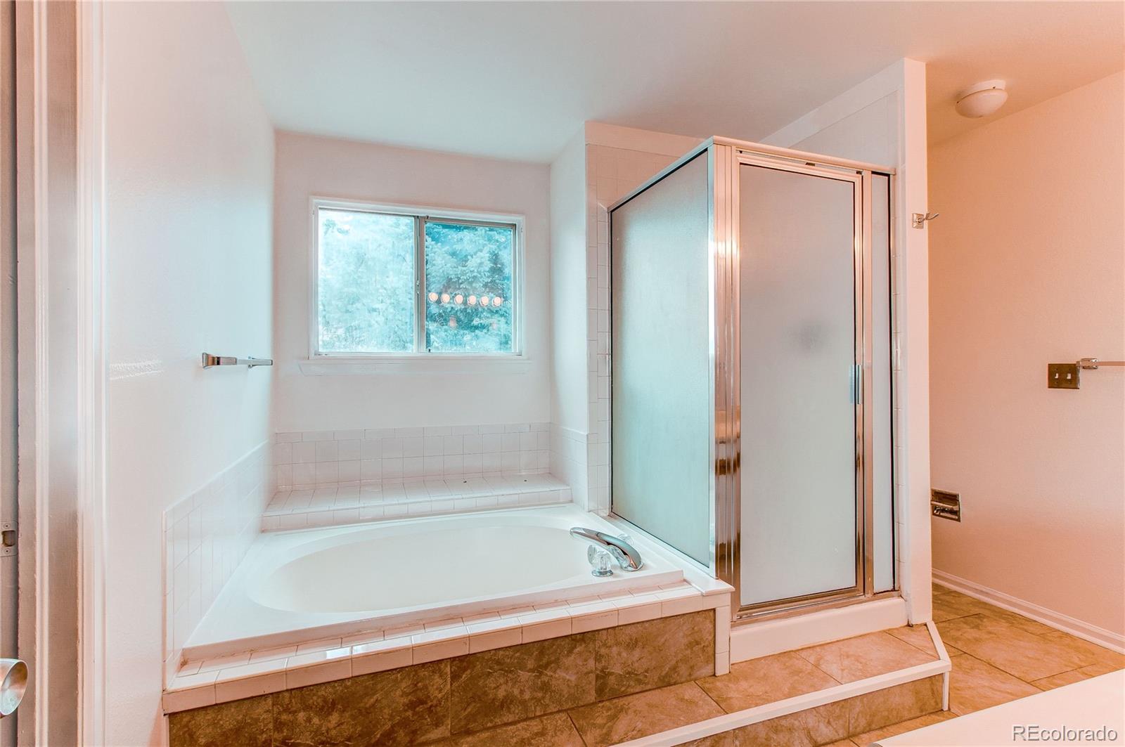 MLS Image #11 for 9182  weeping willow court,highlands ranch, Colorado