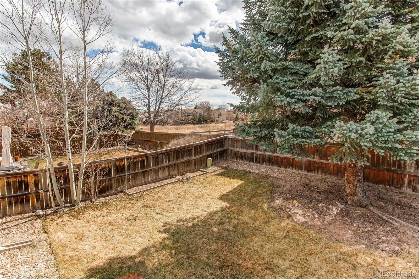 MLS Image #19 for 9182  weeping willow court,highlands ranch, Colorado