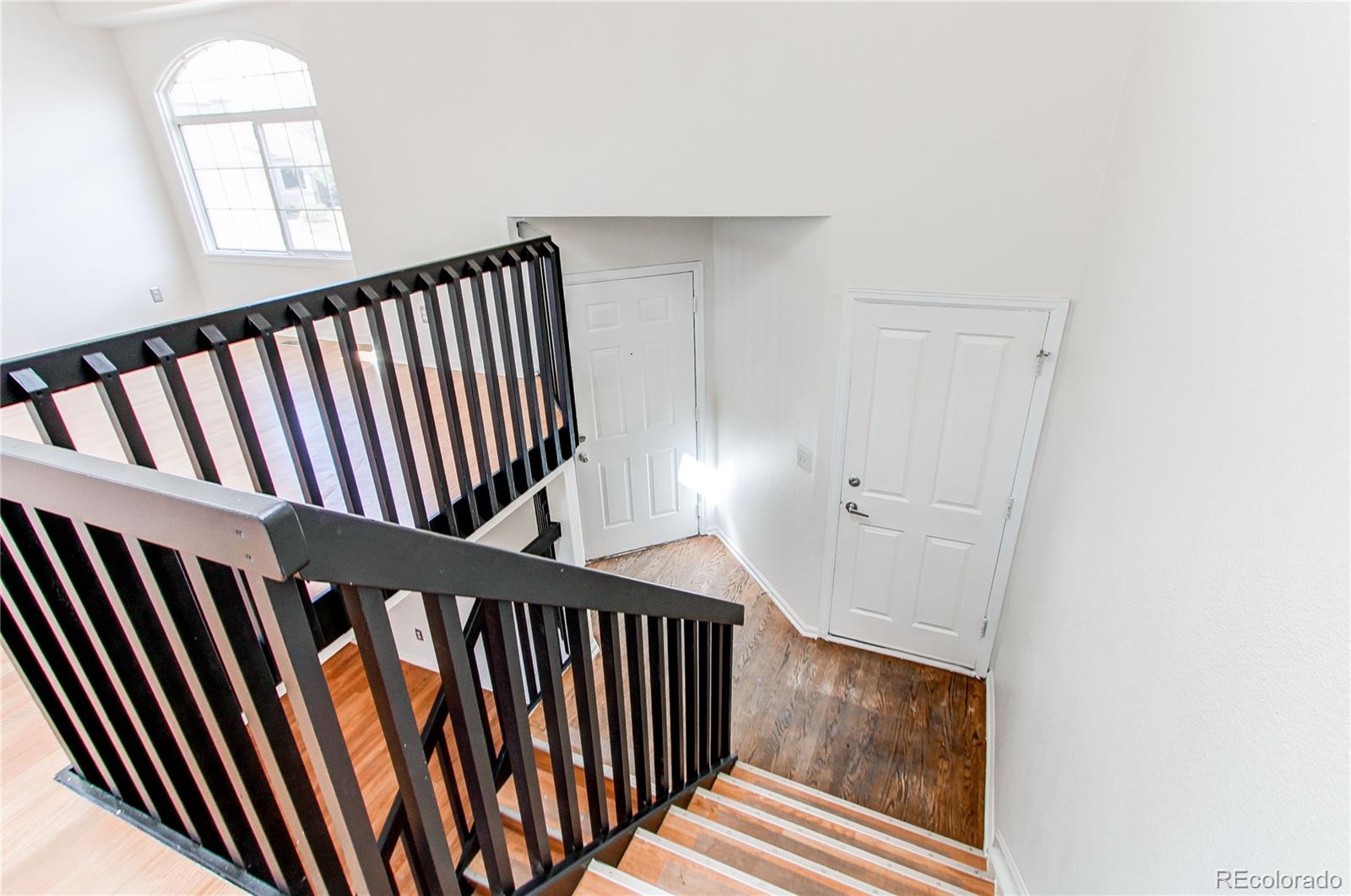 MLS Image #8 for 9182  weeping willow court,highlands ranch, Colorado