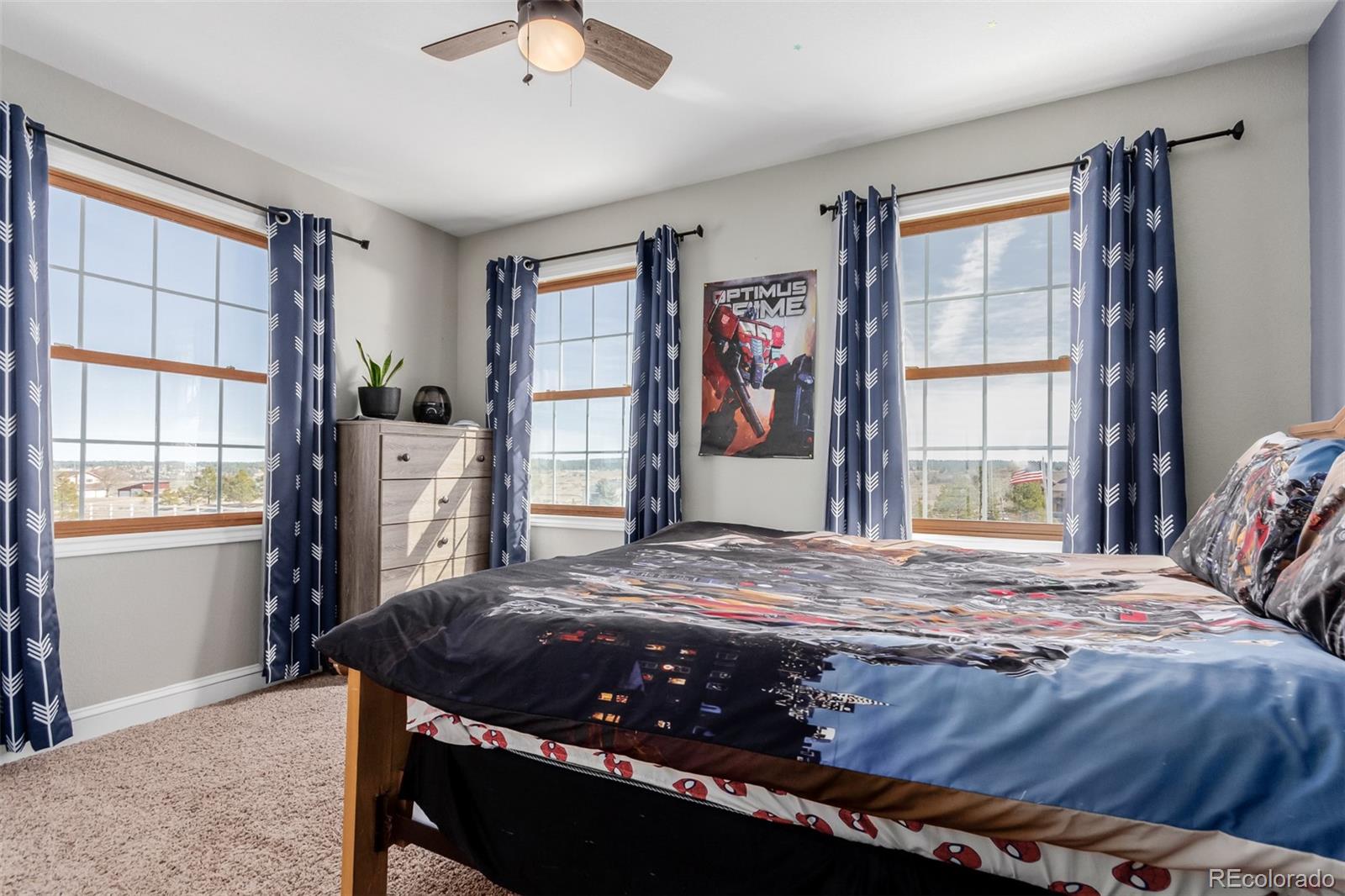 MLS Image #17 for 2257  deerpath road,franktown, Colorado