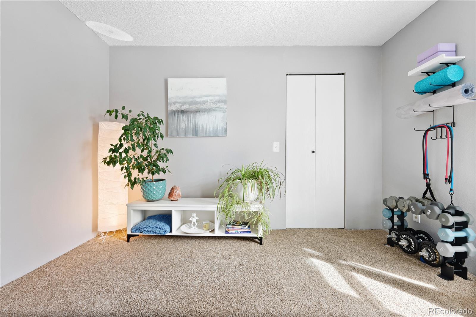 MLS Image #12 for 209  wright street,lakewood, Colorado