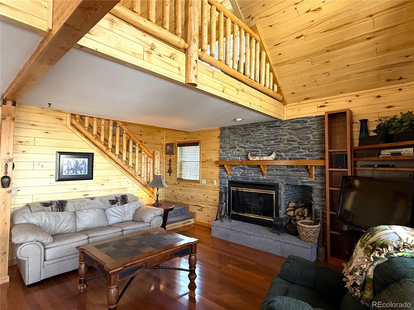 MLS Image #12 for 1387  high creek road,fairplay, Colorado