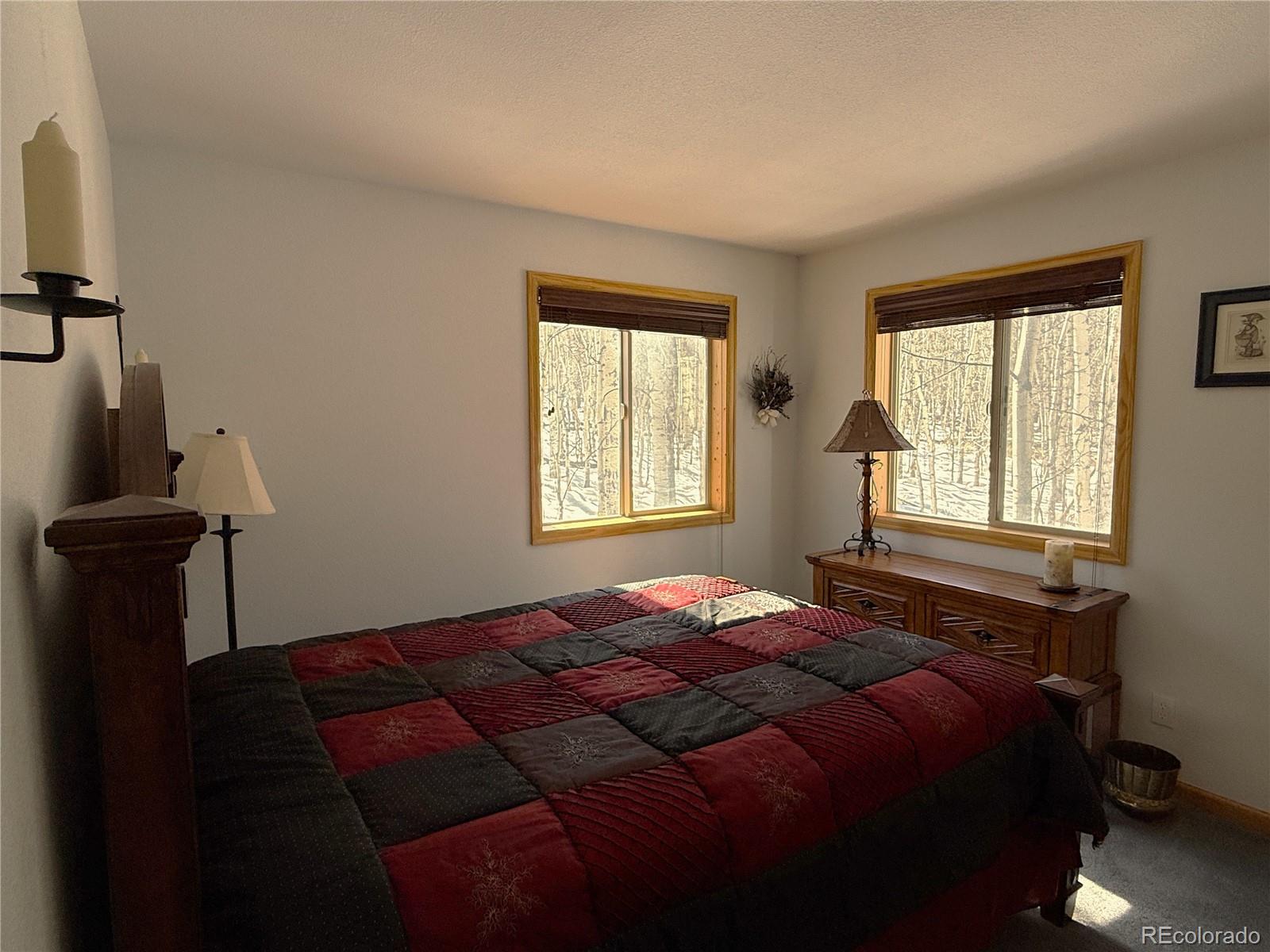 MLS Image #13 for 1387  high creek road,fairplay, Colorado
