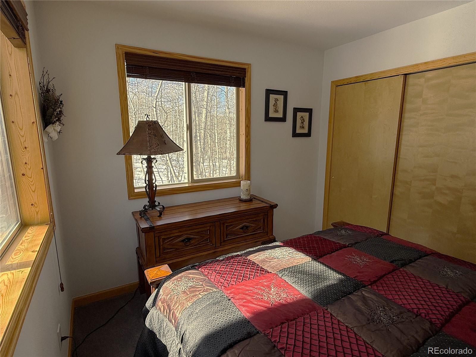 MLS Image #14 for 1387  high creek road,fairplay, Colorado