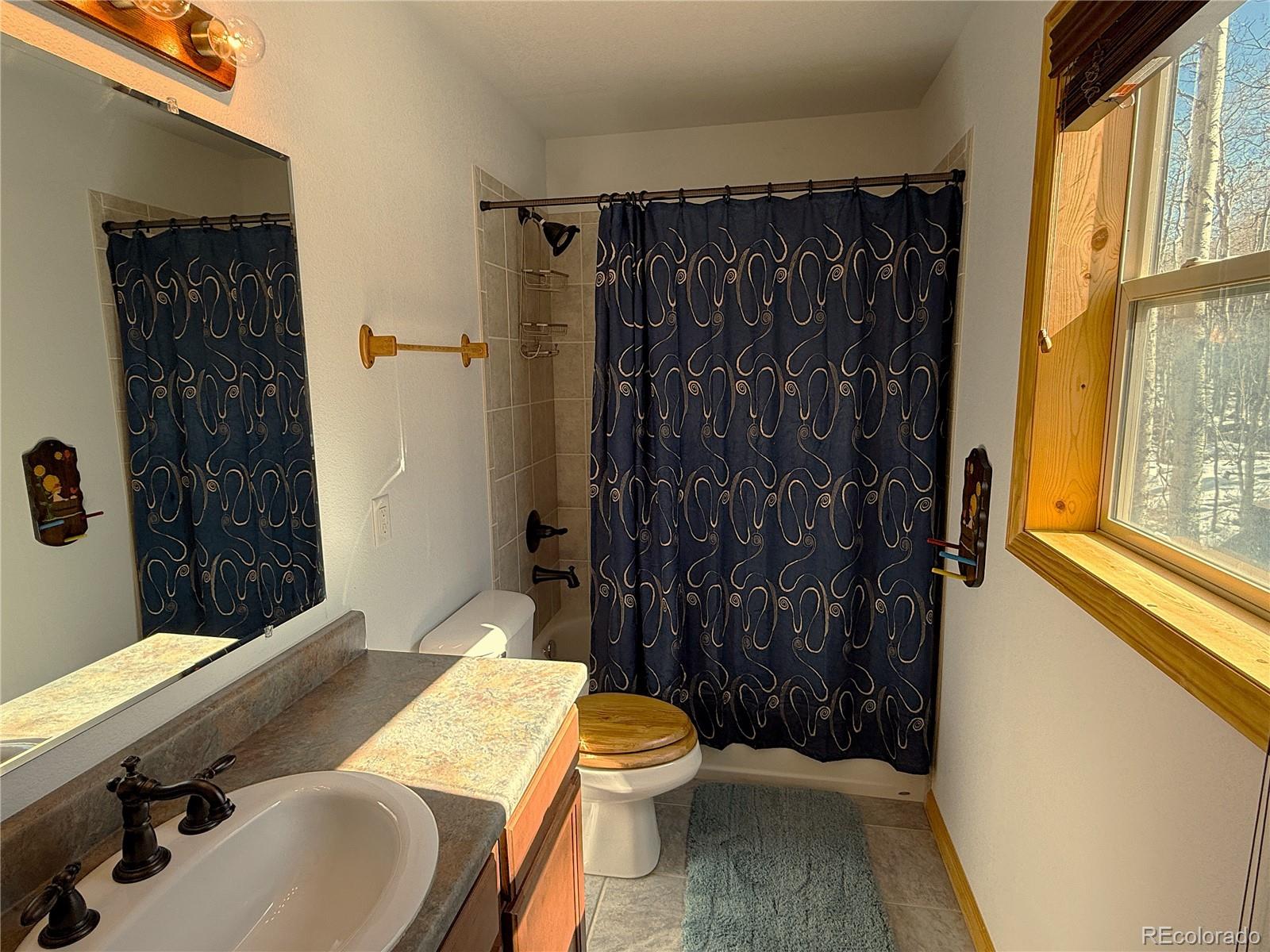 MLS Image #16 for 1387  high creek road,fairplay, Colorado