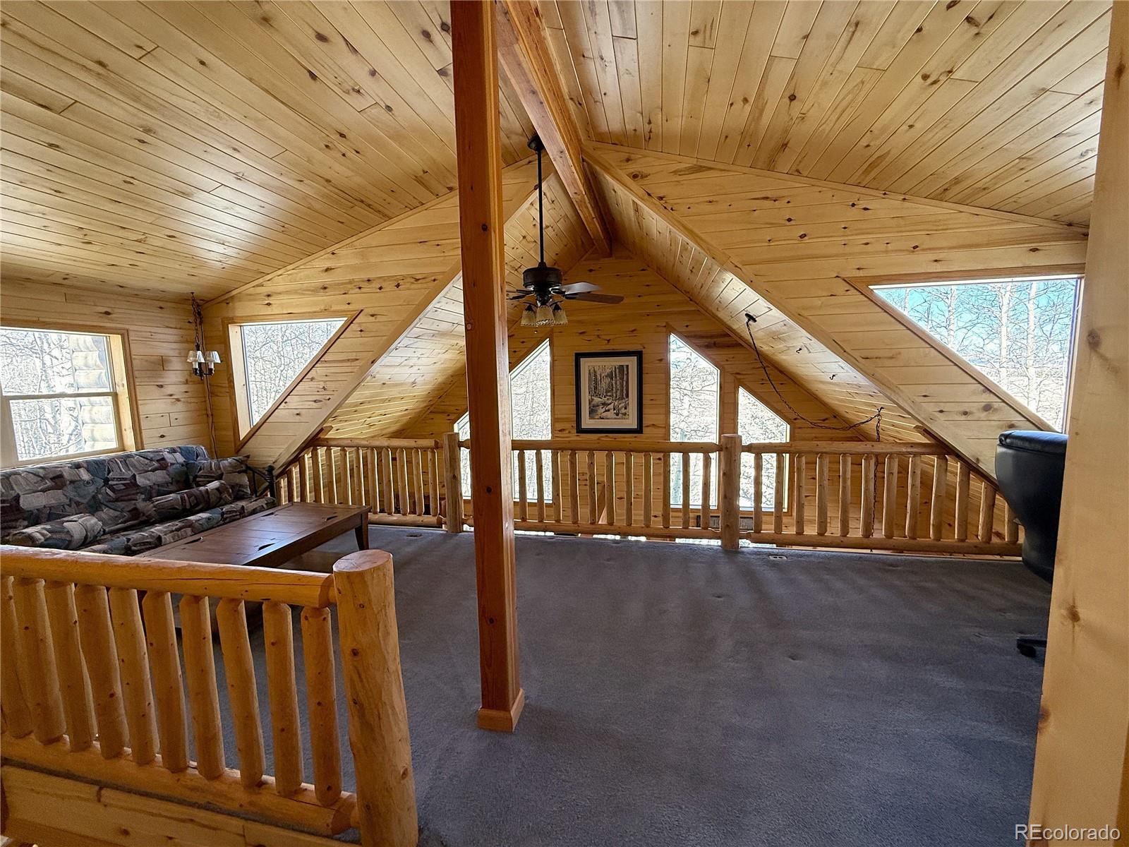 MLS Image #17 for 1387  high creek road,fairplay, Colorado