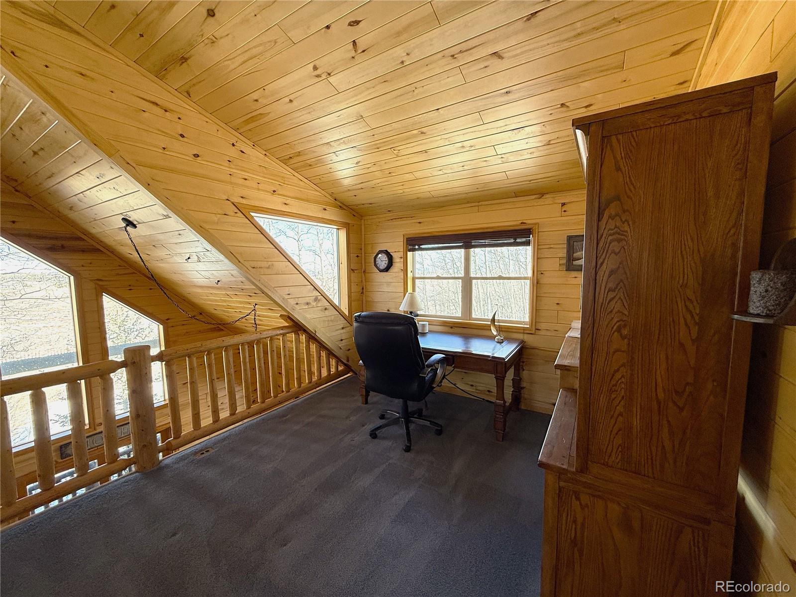 MLS Image #18 for 1387  high creek road,fairplay, Colorado
