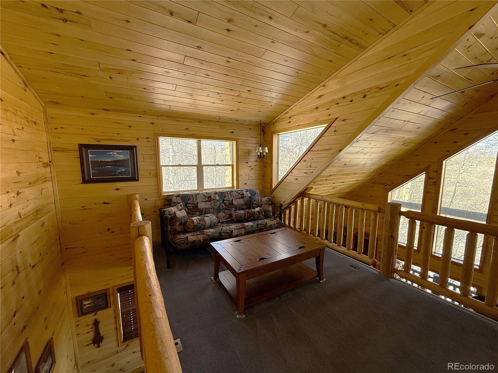 MLS Image #19 for 1387  high creek road,fairplay, Colorado