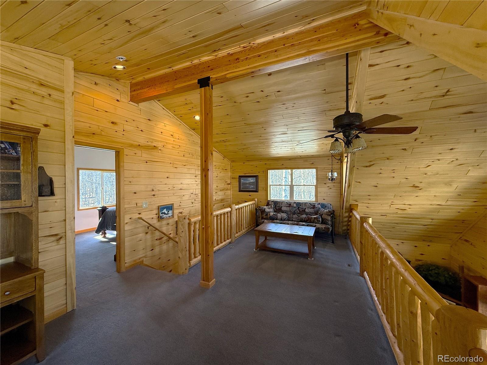 MLS Image #21 for 1387  high creek road,fairplay, Colorado