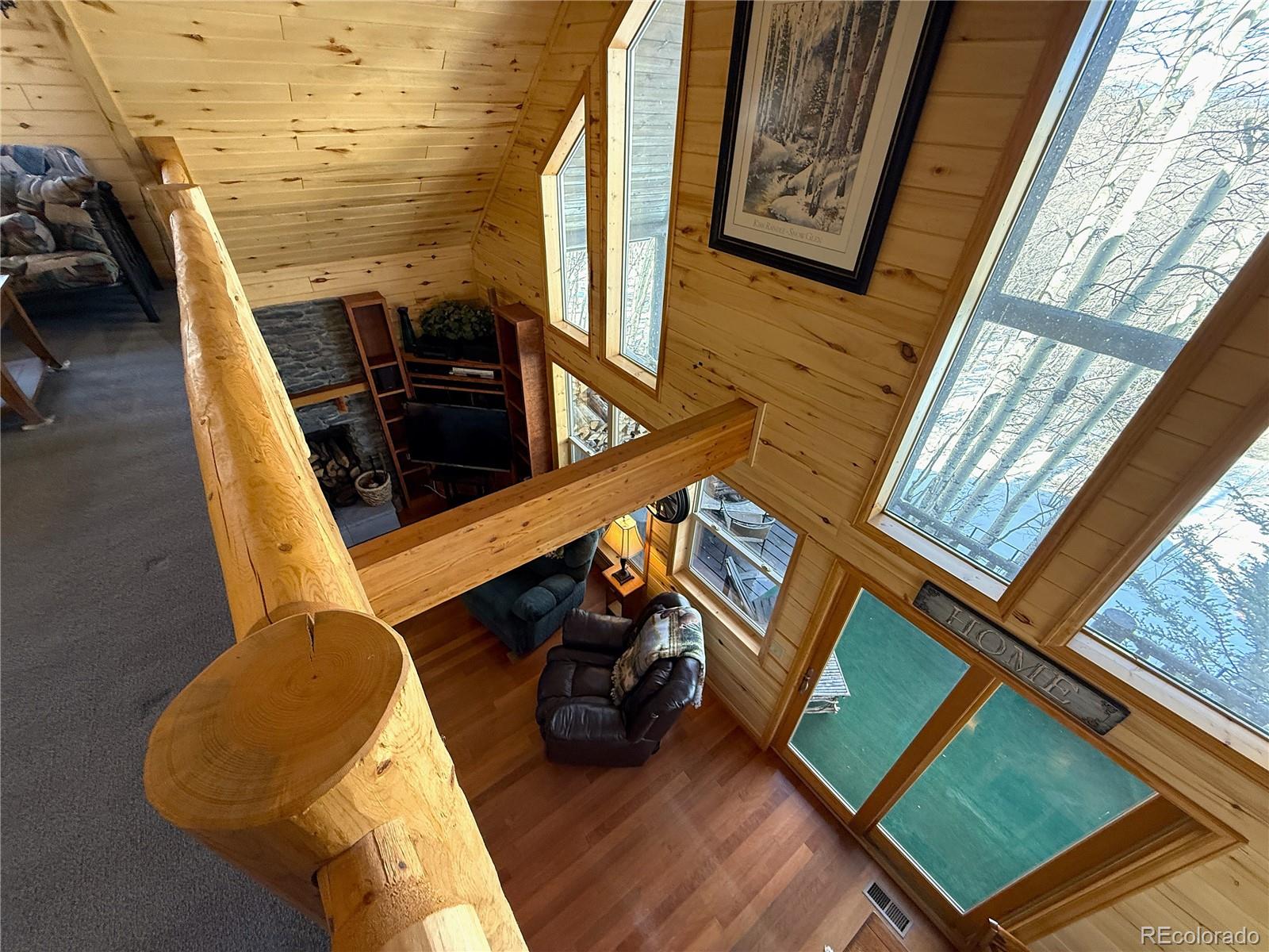 MLS Image #22 for 1387  high creek road,fairplay, Colorado