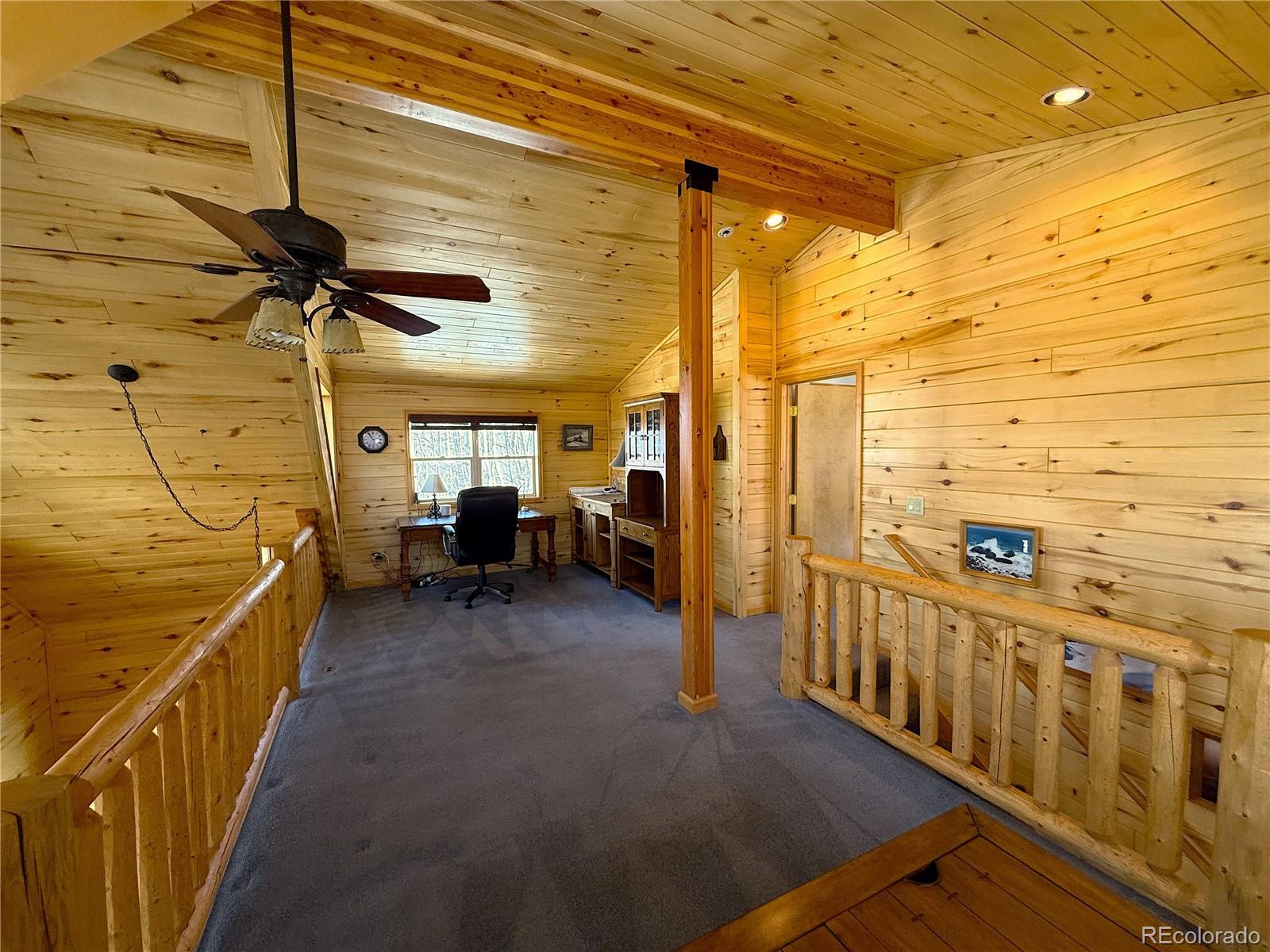 MLS Image #23 for 1387  high creek road,fairplay, Colorado
