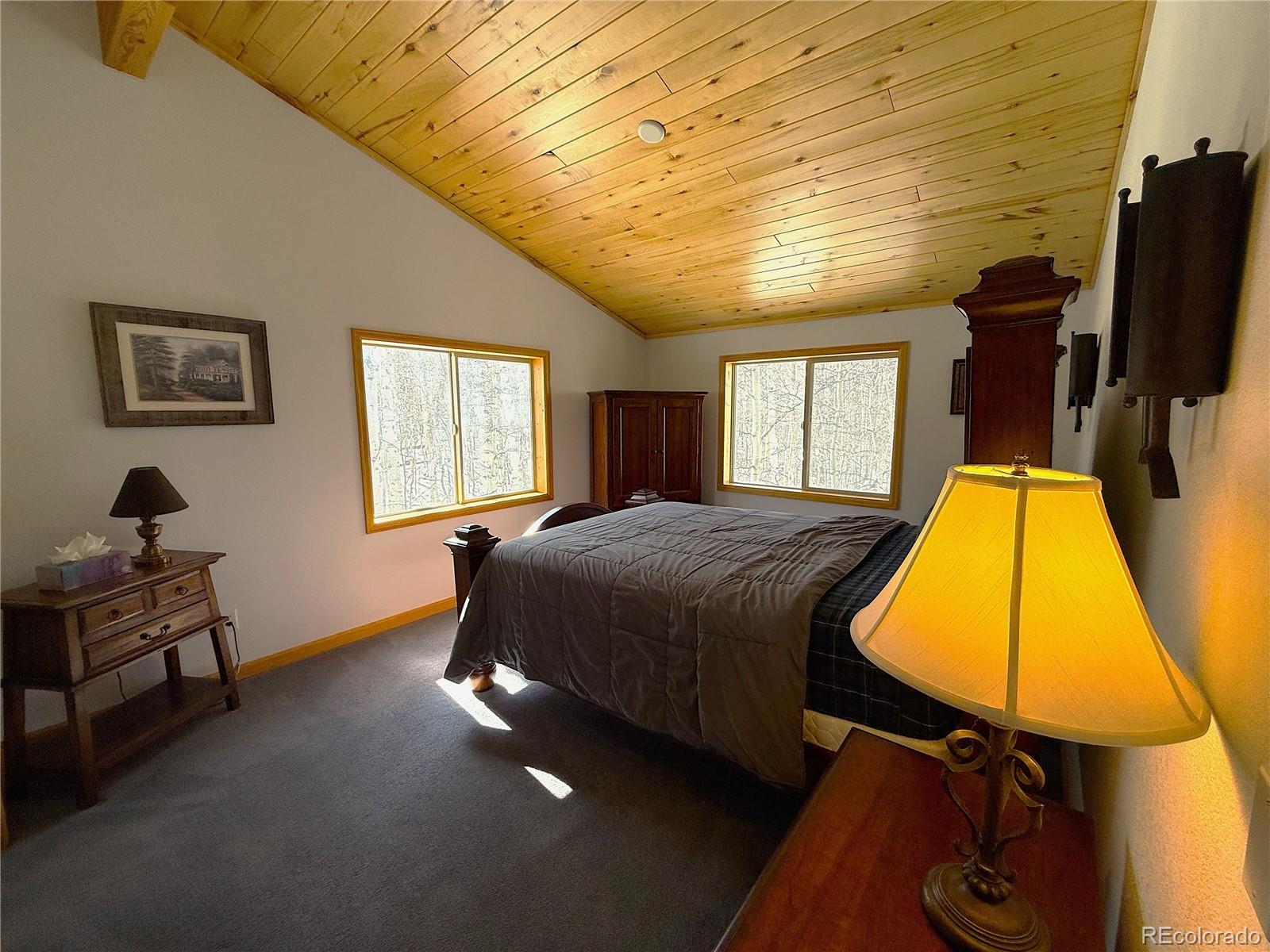 MLS Image #25 for 1387  high creek road,fairplay, Colorado