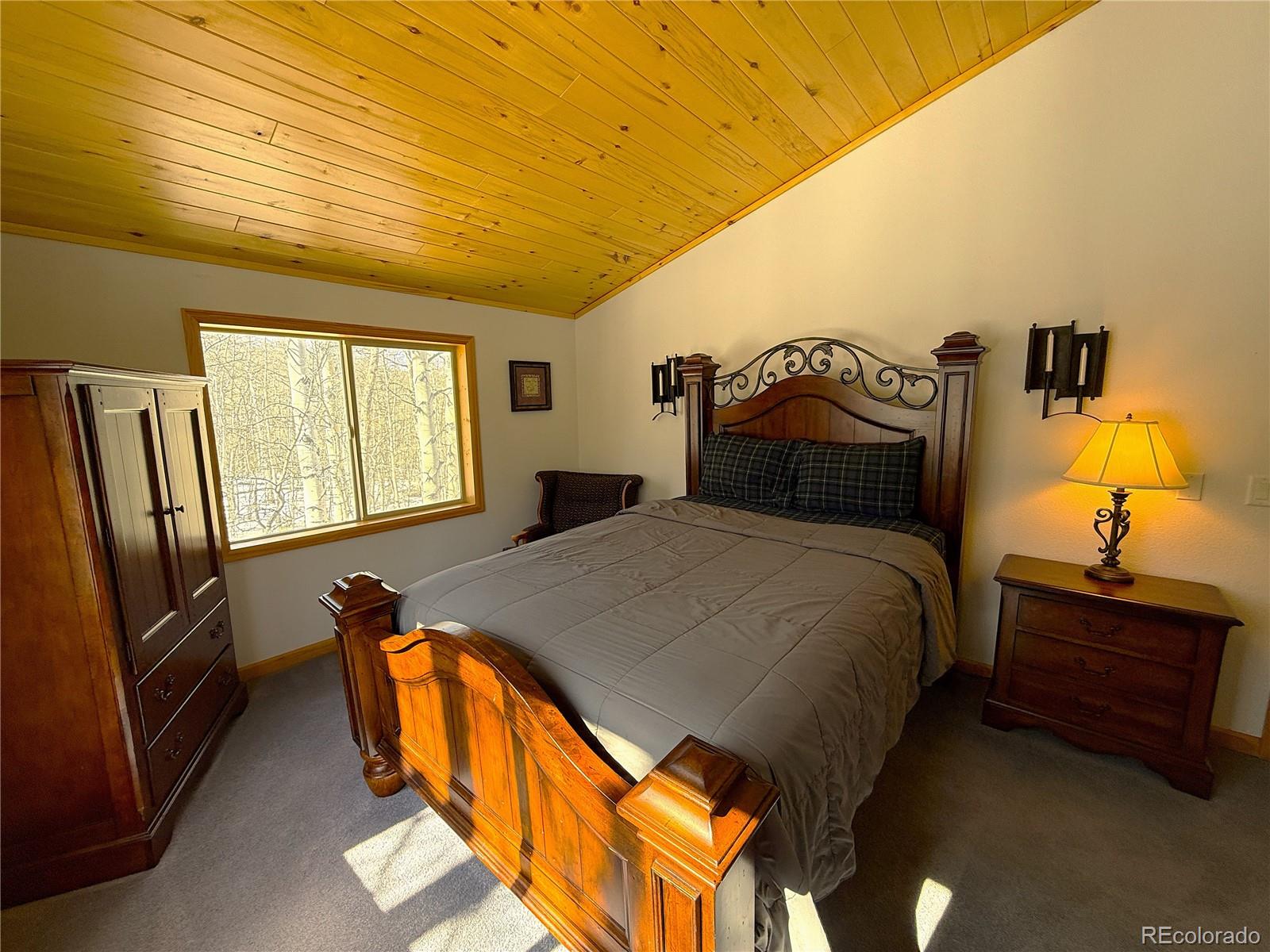 MLS Image #26 for 1387  high creek road,fairplay, Colorado