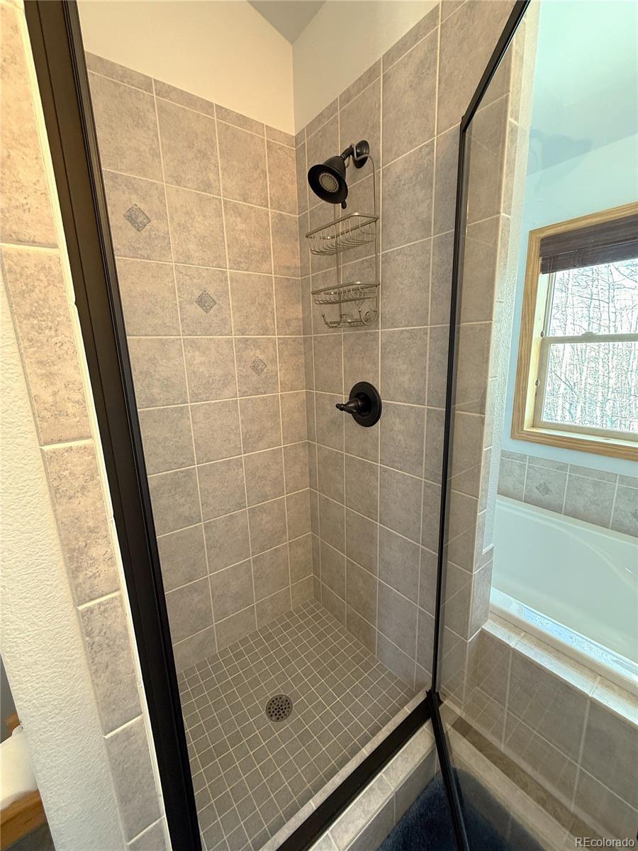 MLS Image #29 for 1387  high creek road,fairplay, Colorado