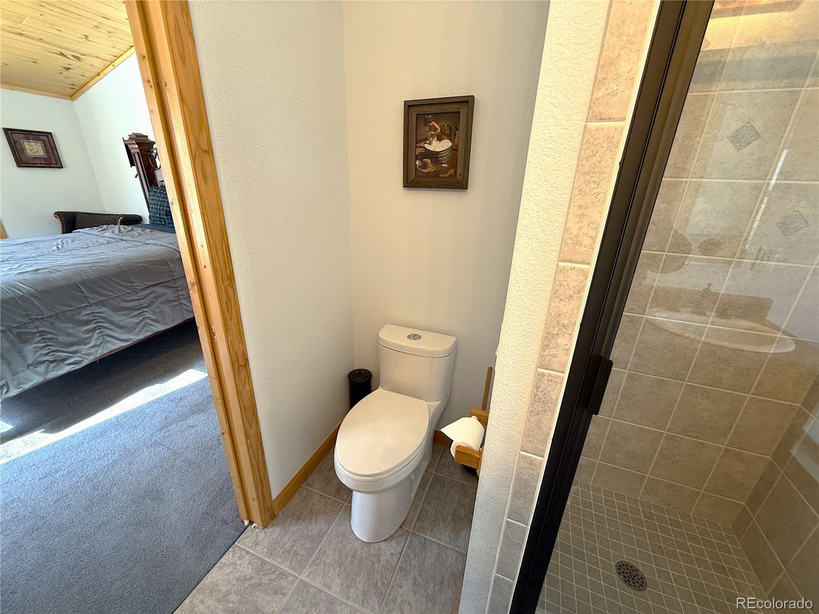 MLS Image #31 for 1387  high creek road,fairplay, Colorado