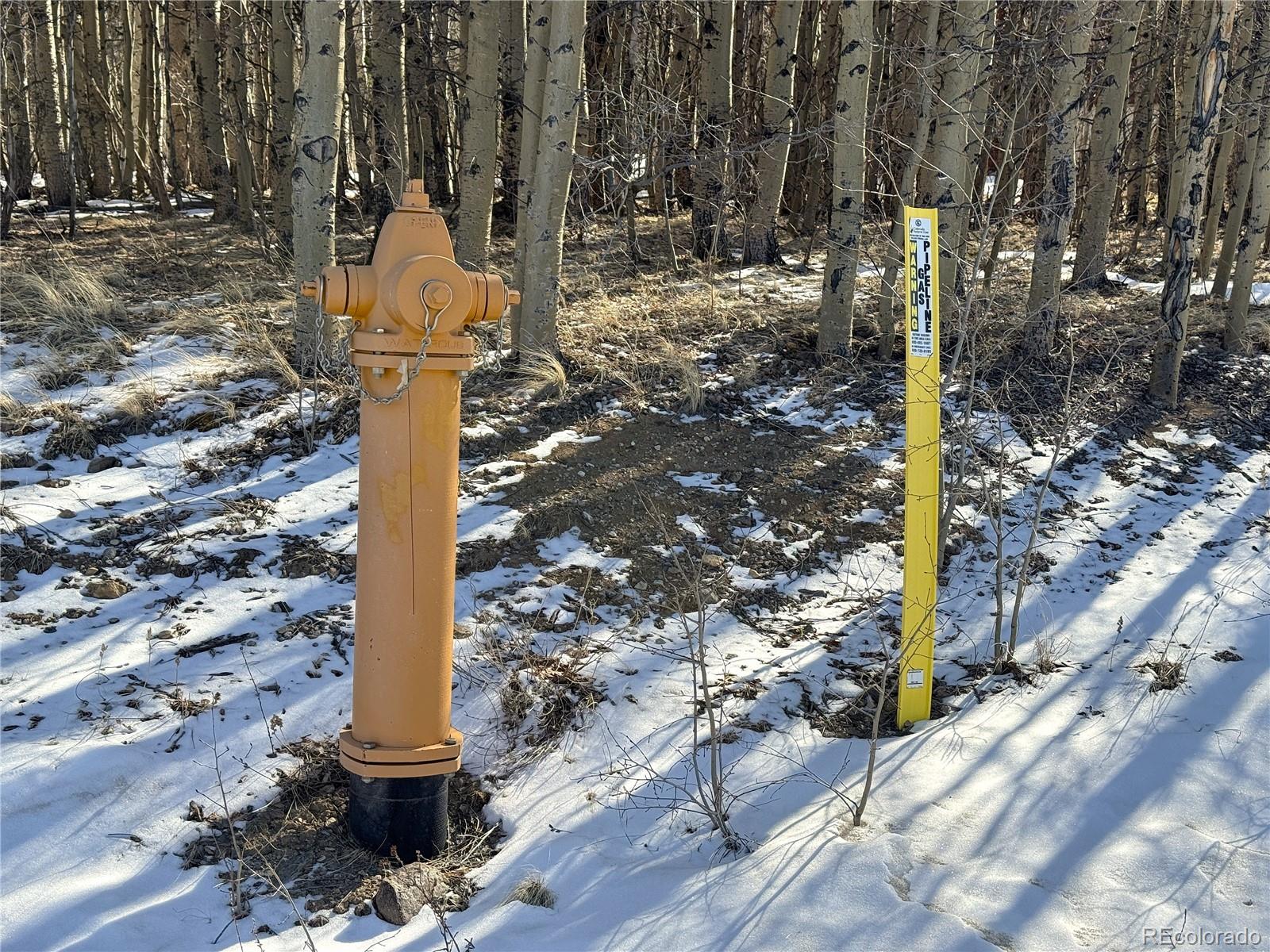 MLS Image #44 for 1387  high creek road,fairplay, Colorado