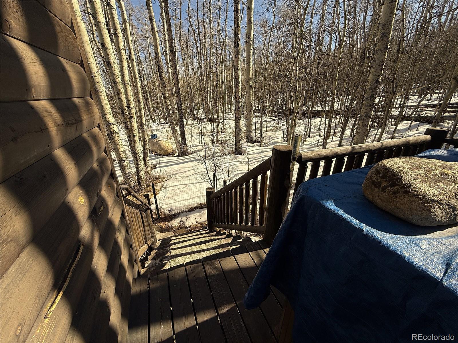 MLS Image #6 for 1387  high creek road,fairplay, Colorado