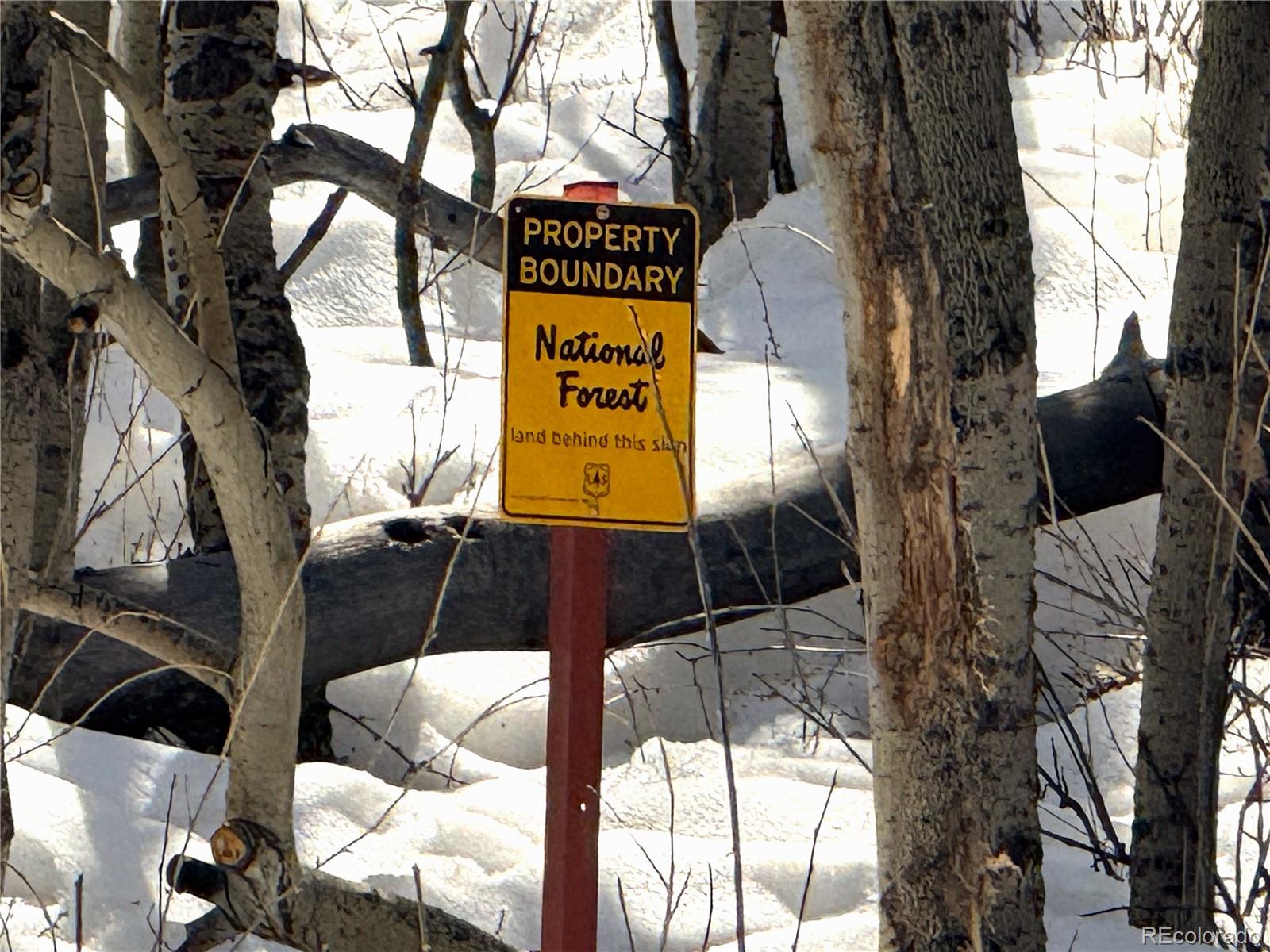 MLS Image #7 for 1387  high creek road,fairplay, Colorado
