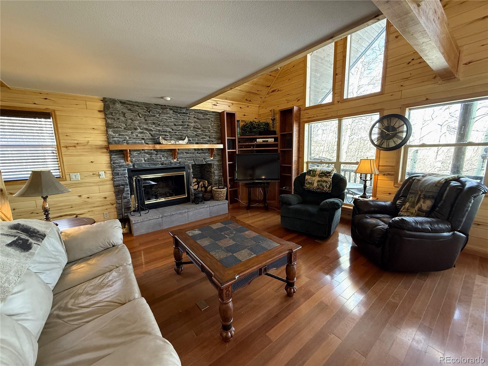 MLS Image #8 for 1387  high creek road,fairplay, Colorado