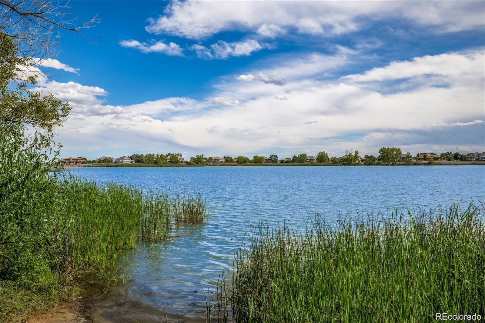 MLS Image #44 for 1440  eversole drive,broomfield, Colorado