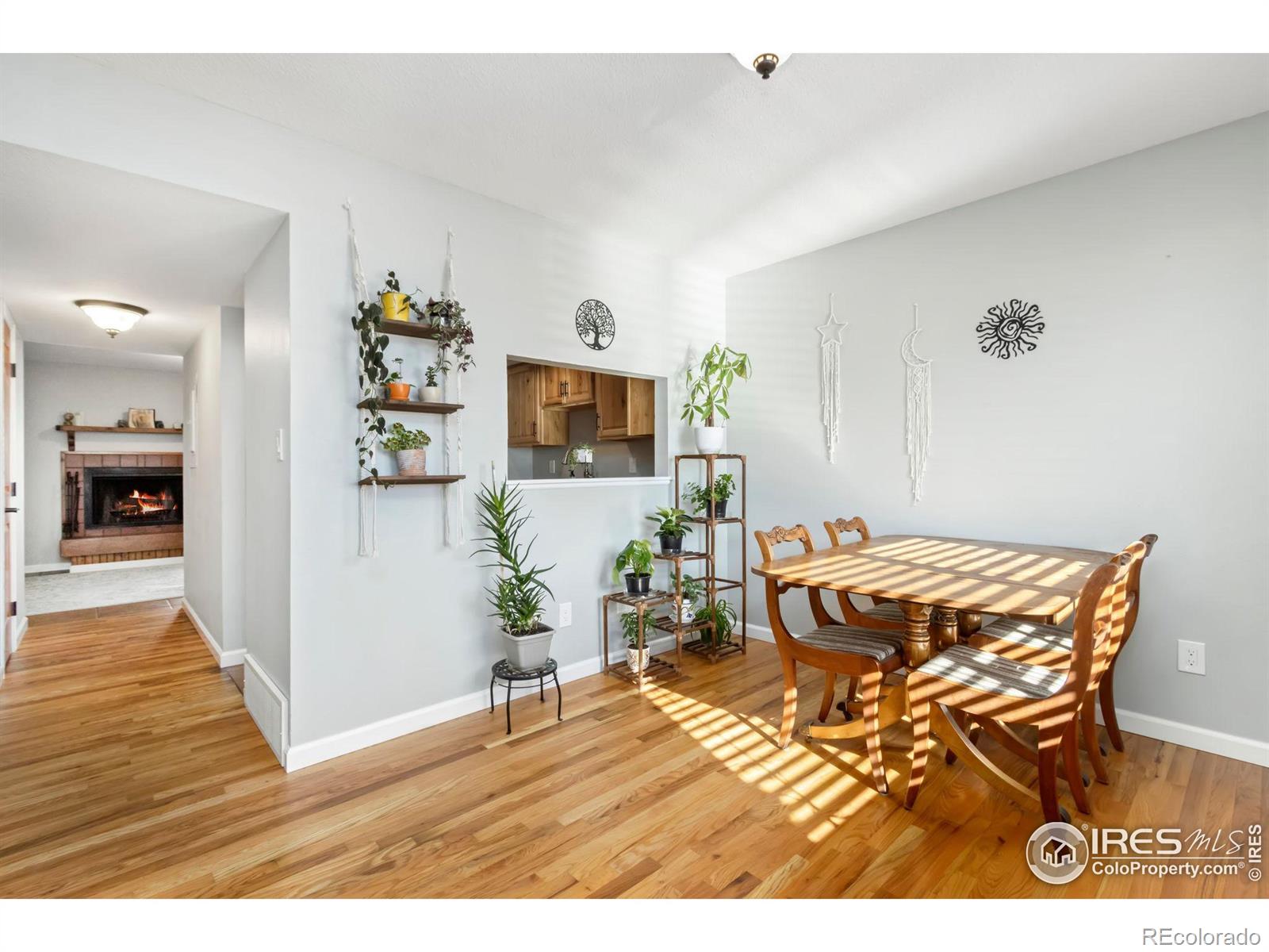 MLS Image #1 for 3000  ross drive,fort collins, Colorado