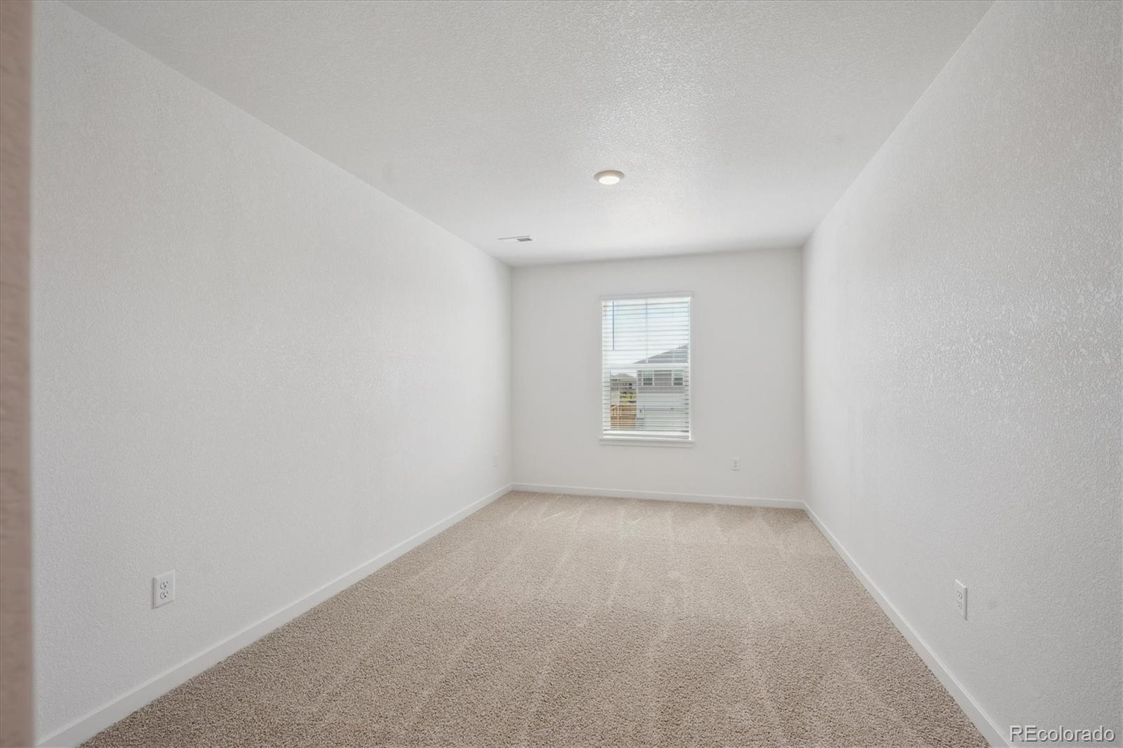 MLS Image #13 for 4113  marble drive,mead, Colorado