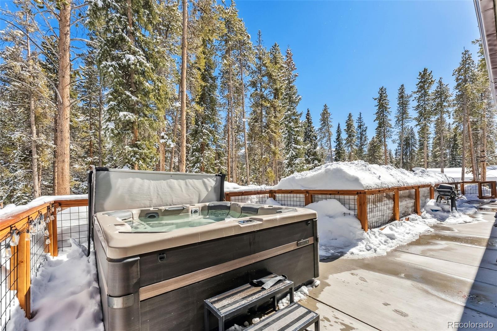 MLS Image #22 for 98  leap year trail,breckenridge, Colorado