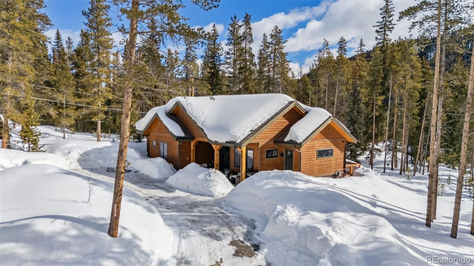 MLS Image #23 for 98  leap year trail,breckenridge, Colorado