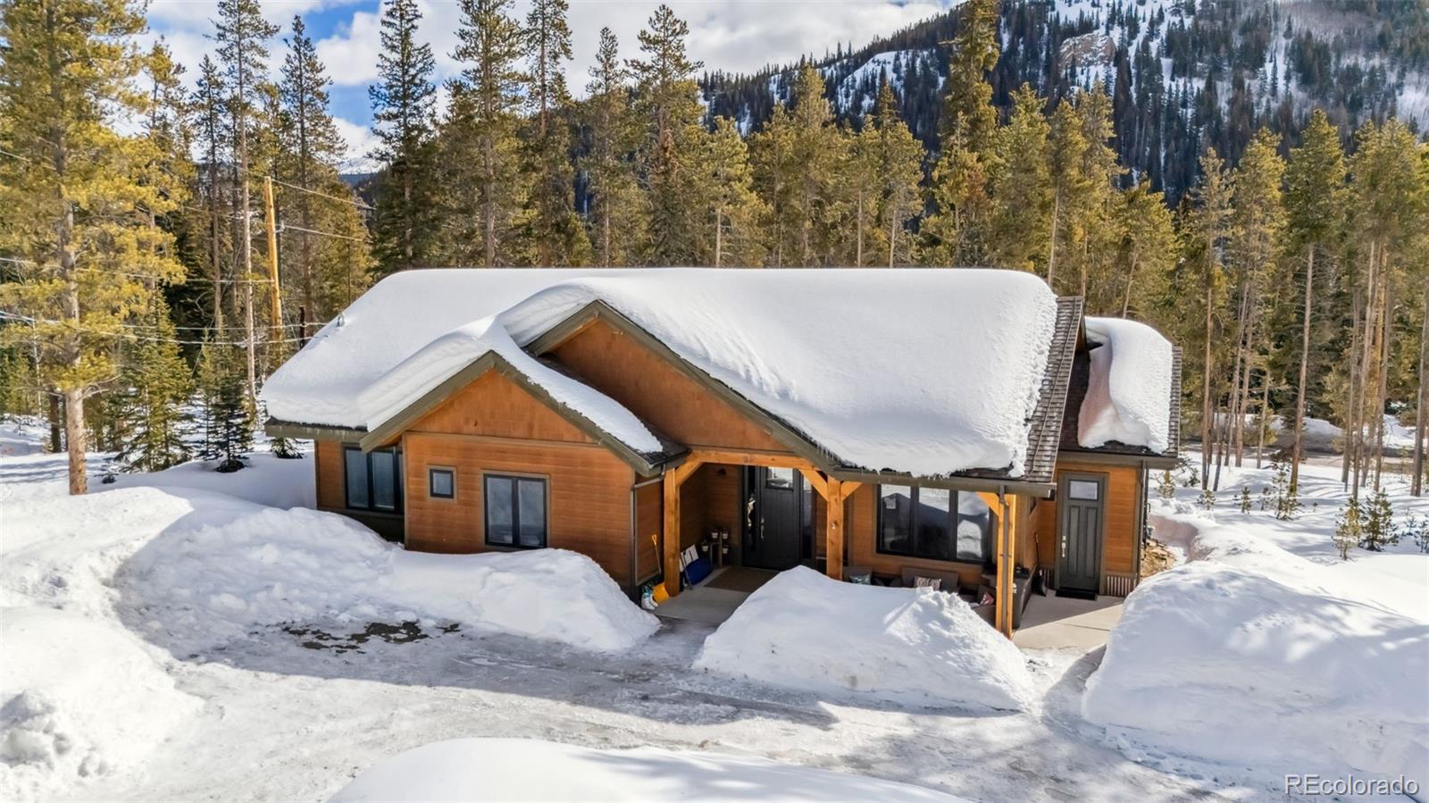 MLS Image #24 for 98  leap year trail,breckenridge, Colorado