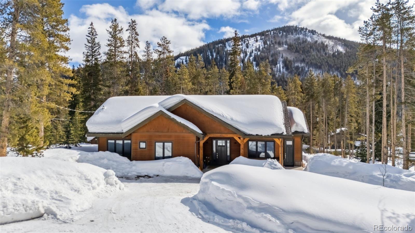 MLS Image #26 for 98  leap year trail,breckenridge, Colorado