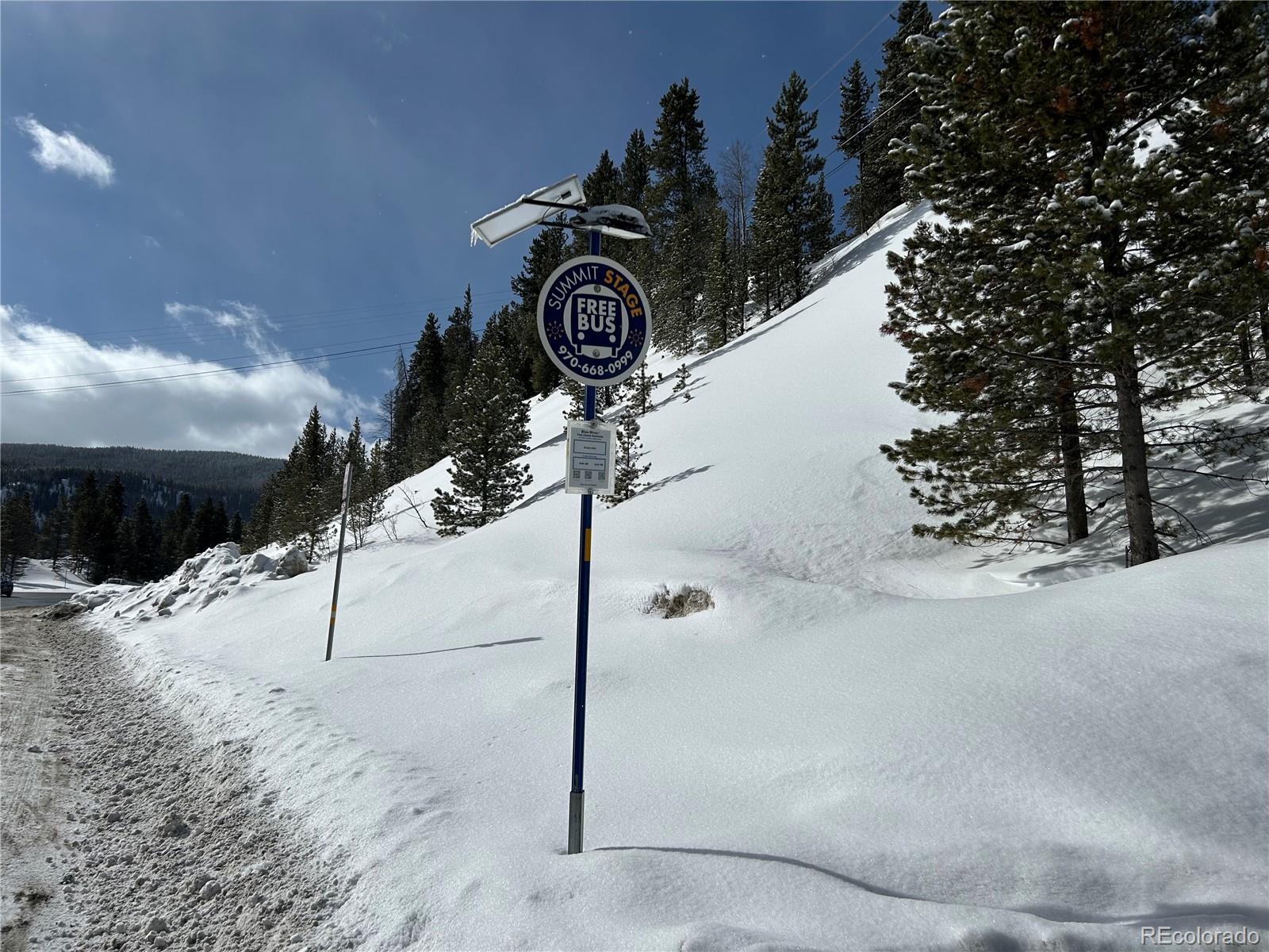 MLS Image #33 for 98  leap year trail,breckenridge, Colorado