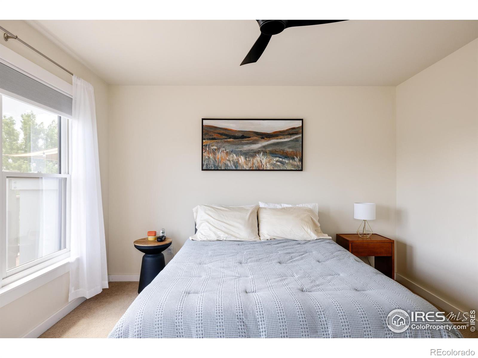 MLS Image #14 for 3210  iron forge place,boulder, Colorado