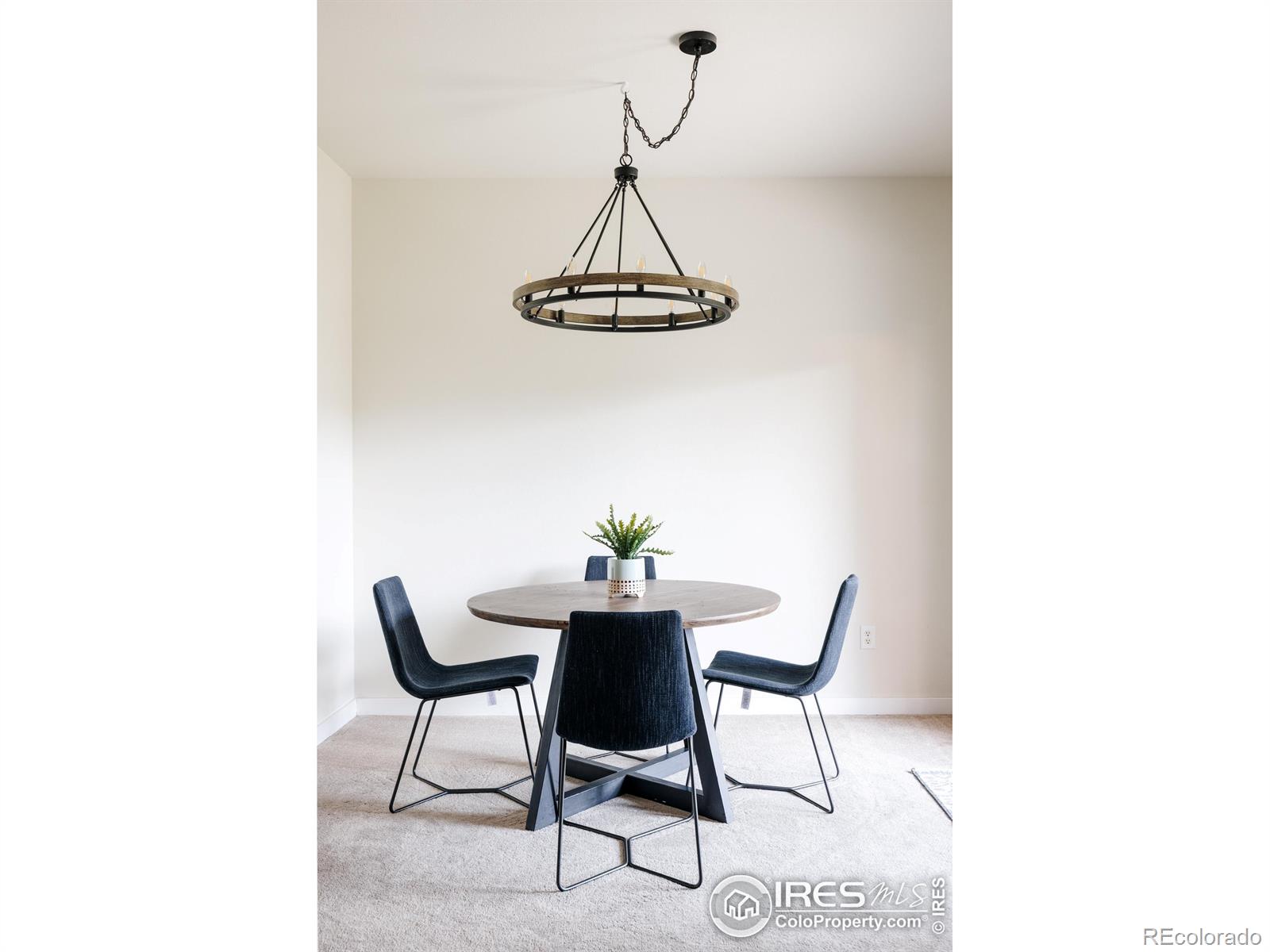 MLS Image #7 for 3210  iron forge place,boulder, Colorado
