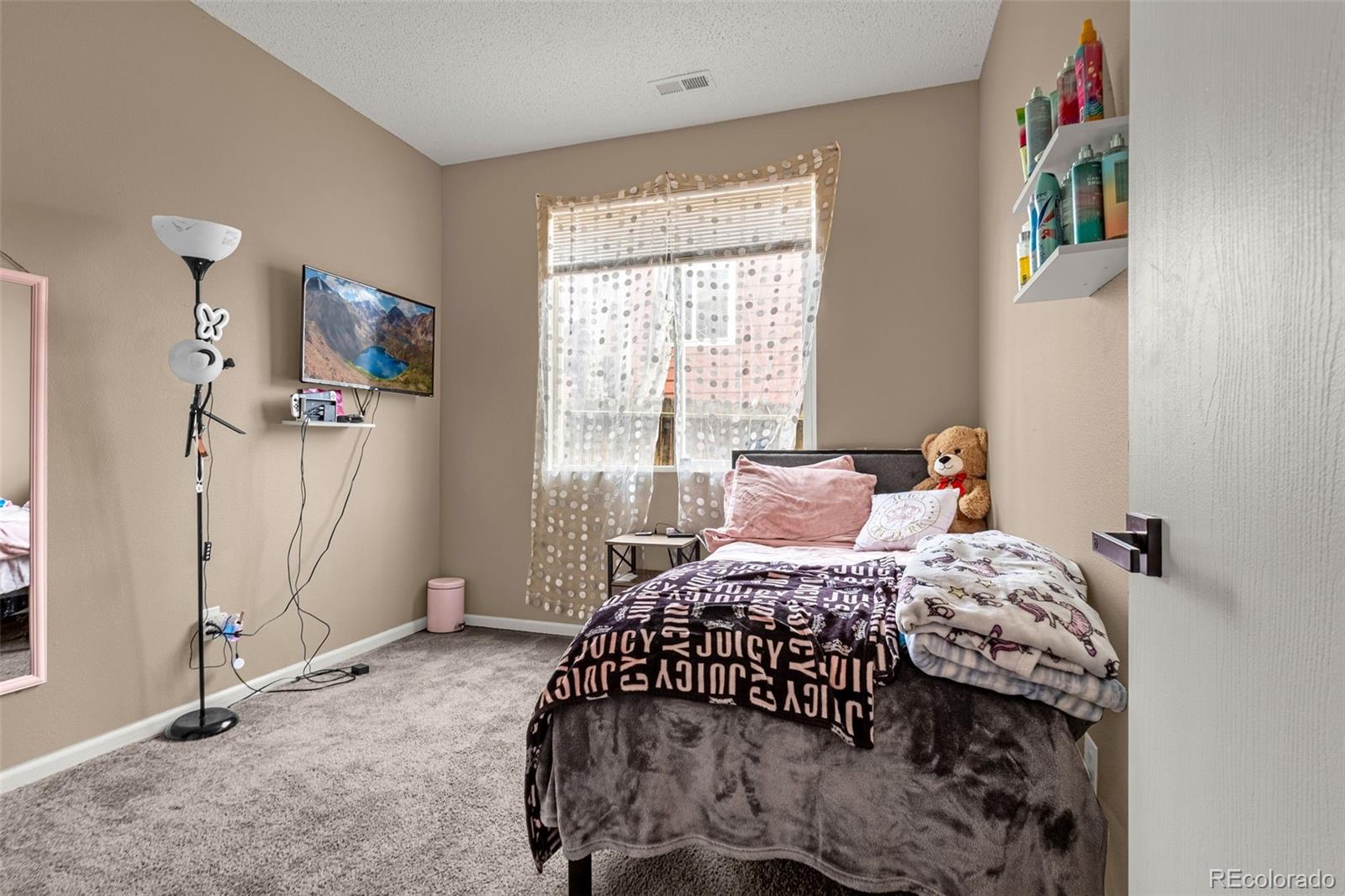 MLS Image #17 for 826  hayloft lane,fountain, Colorado