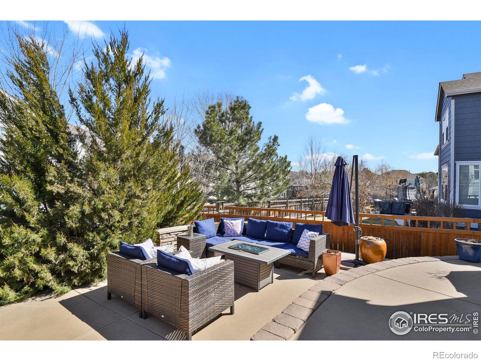 MLS Image #14 for 1429  wandering way,castle rock, Colorado