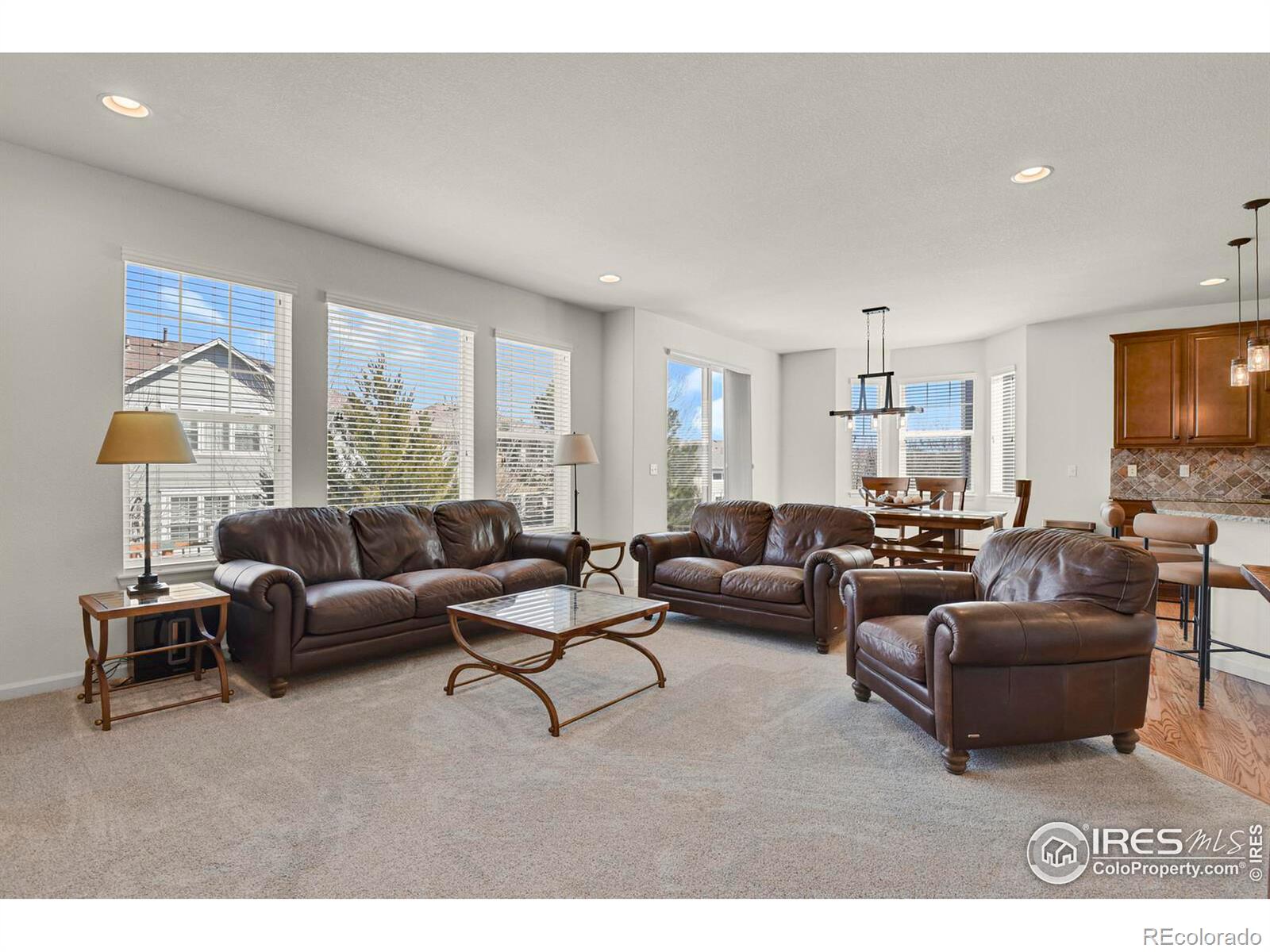 MLS Image #17 for 1429  wandering way,castle rock, Colorado